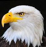 150953152359f99f83635a2